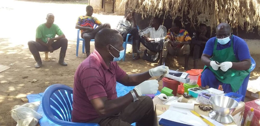 Emerging Infectious Diseases Surveillance